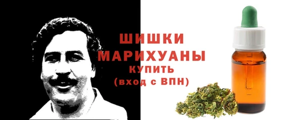 сатива Абинск