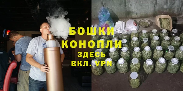 сатива Абинск