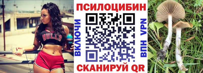 Галлюциногенные грибы GOLDEN TEACHER  Ак-Довурак 